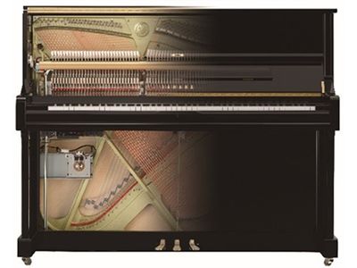 Hybridní klavírní systém TransAcoustic TA2