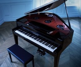 Hraní na klavír - osvobození klavíristy od všech omezení. A pak radost z transformace aktu hraní na něco nového...