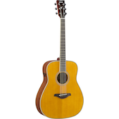 FG-TA Vintage Tint Left Front