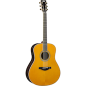 LL-TA Vintage Tint Left Front