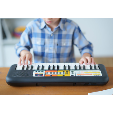 Yamaha PSS-F30