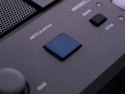 PSR-E583 Obrázek možností tlačítka ARTICULATION