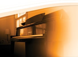 J. Kepler University Of Linz, Avant Grand