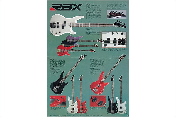 RBX-800 Electric Bass
