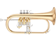 Bell: Gold brass, Finish: Clear lacquer